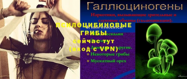 мяу мяу мука Алексеевка